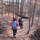 강화읍-13 이미지