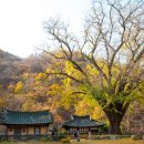 운곡 농장 이미지