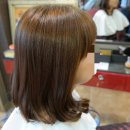 고고헤어gogoHair Daum카페