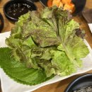 신선생고깃집 이미지