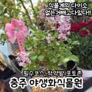 청양새터길 106(주덕읍) | 충주 가볼만한곳 :: 꽃구경 하기 좋은 야생화식물원 작약밭 당일치기여행 (애견동반가능)