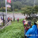 성관목장 이미지