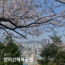 만리산 | 부산 벚꽃명소 만리산체육공원 숨은 벚꽃 맛집