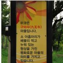 8월 8일(화) 태백 매봉산 ..바람의 언덕 해바라기 꽃 축제.힐링 트래킹.♡39,000원.조중식(찰밥) 이미지