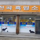 천곡흑염소