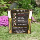 도봉-창동-도봉-5167 이미지