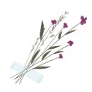 운정더클래스공인중개사사무소 이미지