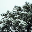 신정산 이미지
