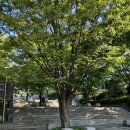 푸치니 서거100주년 기념 음악회 | [부산문화회관/공연 후기]푸치니 서거 100주년 기념 오페라 <나비부인> 보고 왔습니다 :D!