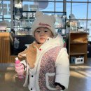 안산농장 | 안산 대부도 딸기농장 그린티플 내돈내산 방문후기