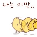 조개2102 이미지