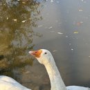 나드리목장 이미지