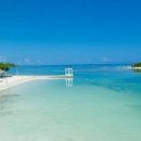 카리브해 이미지