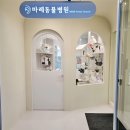 마레동물병원 이미지