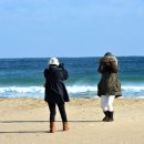 나의바다 이미지