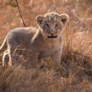 CORE PC CAFE 이미지