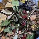 약산농장 이미지