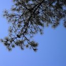 삼가체육공원 주차장 이미지