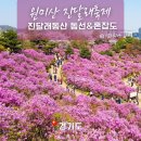 부천시청(소사-A-320) | 원미산 진달래축제 가는길, 부천 진달래동산 동선과 혼잡도 후기