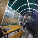 쫑이와메리 이미지