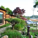 메주꽃이랑 이미지