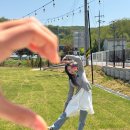 영인원마트 | 천안 아산 푹 쉬기 좋은 애견동반 대형카페 스탑오버카페