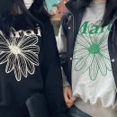 디트리오 이미지