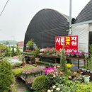 샤론꽃화원