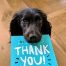 투모어휘트니스 지족점 이미지