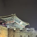 수원빈대떡 네이버블로그