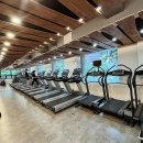 마이 복싱 짐 이미지