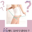 JS에스테틱