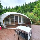 순천-16호 이미지