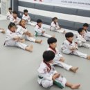 경희대박사 태산태권도 이미지