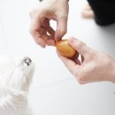 대한맥반석 이미지