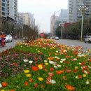 일심당약국 이미지