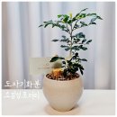 소일섬 네이버블로그