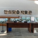 안성맞춤랜드 | 도심 속 힐링, 안성맞춤랜드 나들이 후기 🌿🚶‍♂️