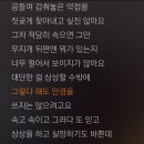 아이유-안경 가사 100프로 공감하는 여시들 달글 이미지