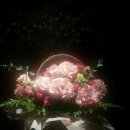 금왕한의원 이미지