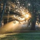 영조아름다운나날2차 이미지