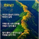 건강한하루 이미지