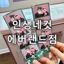 인생네컷삽교천랜드점 | 용인 가볼만한곳 인생네컷 에버랜드점 솔직후기 놀이공원 데이트