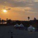 GS25함덕골든튤립 | 250714 - 250715 제주 1박2일