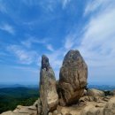 시청 건너 버스정류장 이미지