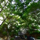 우방센텀 GS슈퍼마켓 앞 | 우방 입지 우방신세계타운 실거래가 우방신세계 분석