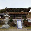 보석사   은행나무 이미지