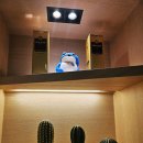 어의정로 | [아산 맛집]용화동 남양가 솔직후기! 과하지 않은 양념으로 한국인 입맛에 딱 맞는 곳!