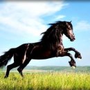 장수헬스클럽 이미지