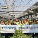 장미농원 이미지